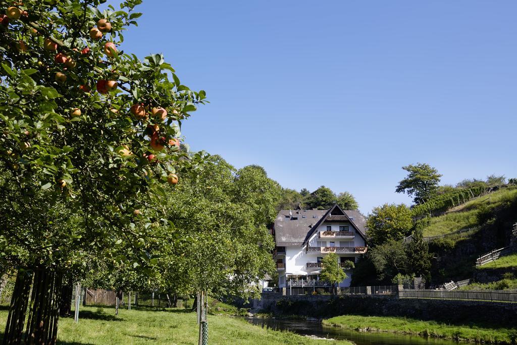 Hotel Pension Jagerstubchen Mayschoß Eksteriør bilde